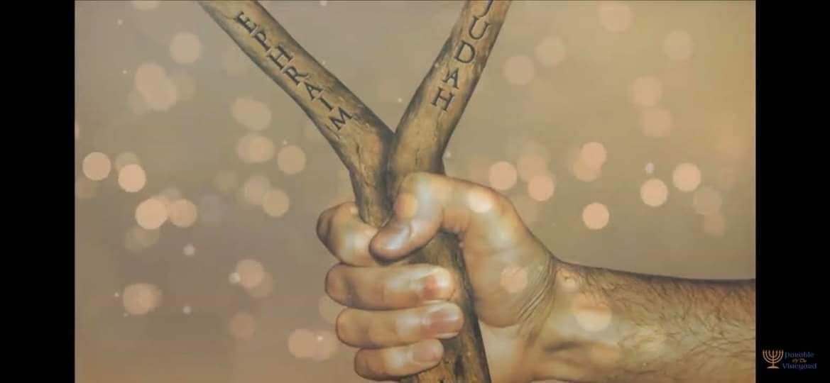 Jeremiah 31:9 KJV
[9] They shall come with weeping, and with supplications will I lead them: I will cause them to walk by the rivers of waters in a straight way, wherein they shall not stumble: for I am a father to IZrael, and Ephraim is my firstborn.
